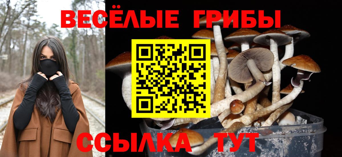 Псилоцибиновые грибы мицелий  Вход с VPN  Россия 