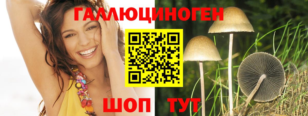 Псилоцибиновые грибы мухоморы Россия